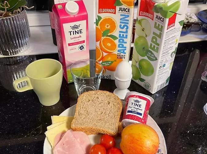 B&B Josygaard Austefjorden